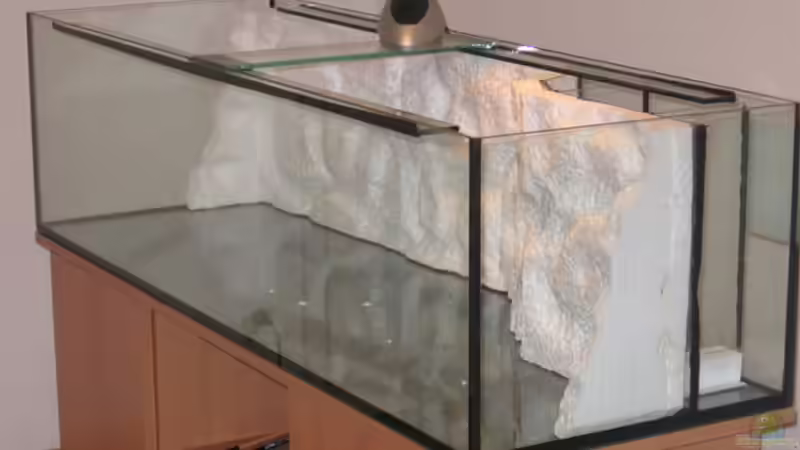 Dekoration im Aquarium Becken 10638 von Pepe1981 (11)