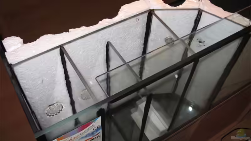 Dekoration im Aquarium Becken 10638 von Pepe1981 (12)