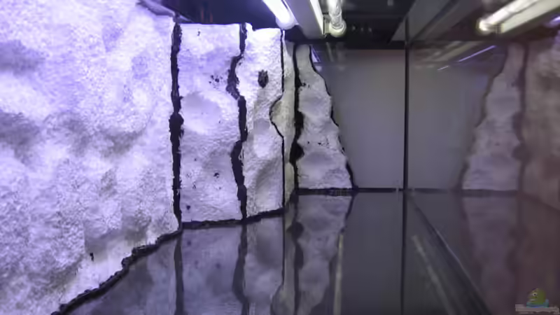 Dekoration im Aquarium Becken 10638 von Pepe1981 (13)