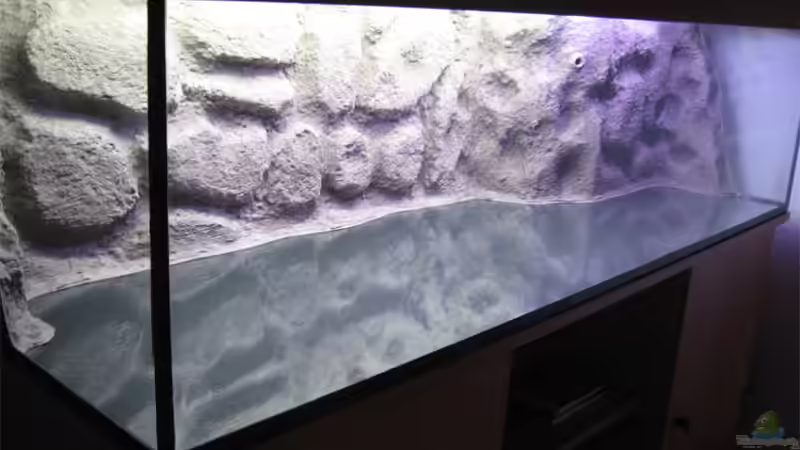 Dekoration im Aquarium Becken 10638 von Pepe1981 (15)