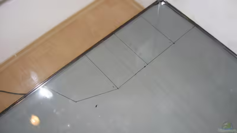 Dekoration im Aquarium Becken 10638 von Pepe1981 (9)