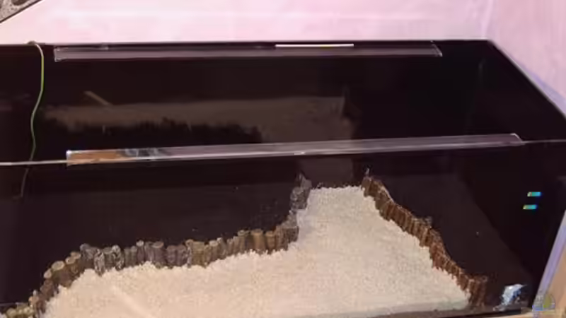 Dekoration im Aquarium Becken 10880 von Fischfan (5)