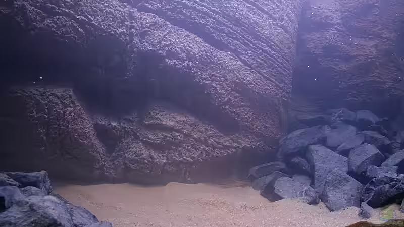 Dekoration im Aquarium Becken 10942 von Sebastian W. (5)