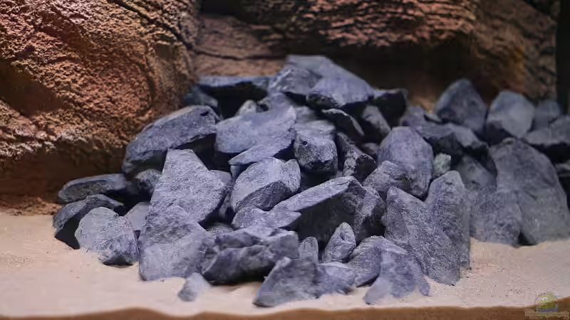 Dekoration im Aquarium Becken 10942 von Sebastian W. (6)