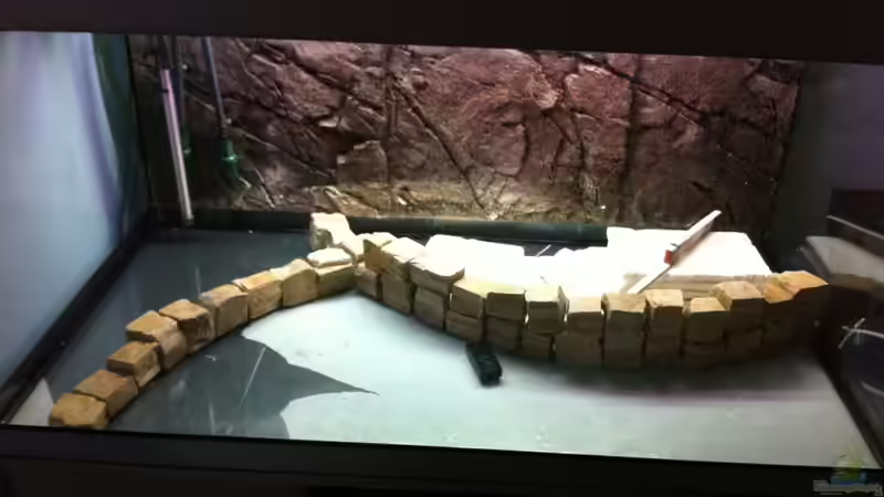 Dekoration im Aquarium Becken 11140 von Padi (6)