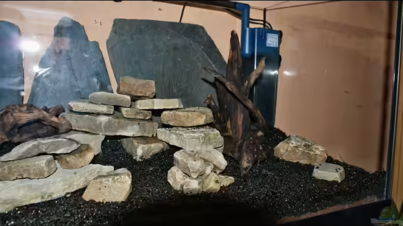 Dekoration im Aquarium Becken 112 L nur noch als Beispiel von Stony (10)