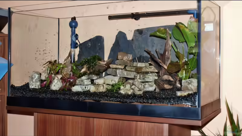 Dekoration im Aquarium Becken 112 L nur noch als Beispiel von Stony (11)