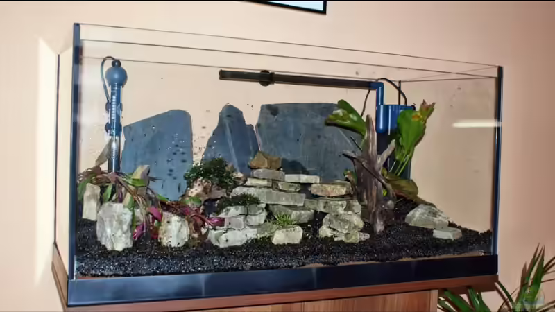 Dekoration im Aquarium Becken 112 L nur noch als Beispiel von Stony (12)