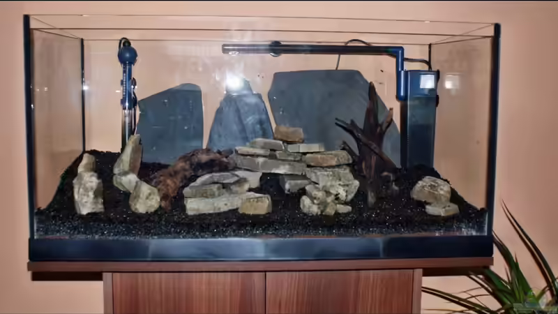 Dekoration im Aquarium Becken 112 L nur noch als Beispiel von Stony (9)