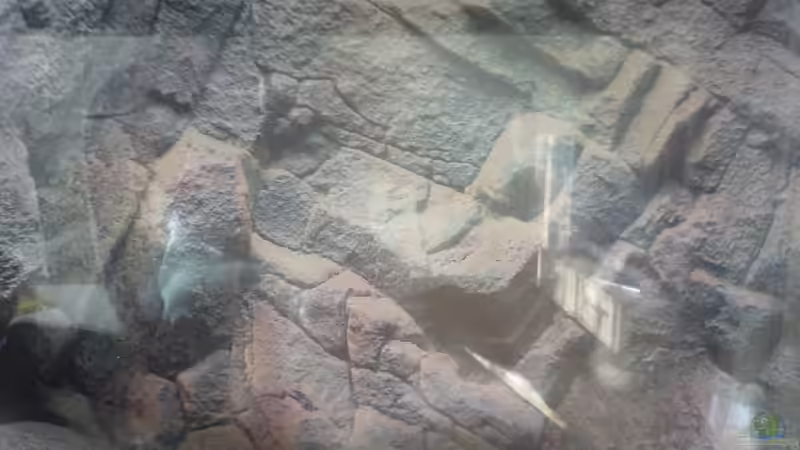 Dekoration im Aquarium Becken 11519 von Ahmet Degerli (11)