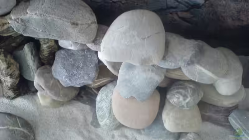 Dekoration im Aquarium Becken 11519 von Ahmet Degerli (13)