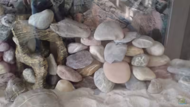 Dekoration im Aquarium Becken 11519 von Ahmet Degerli (6)