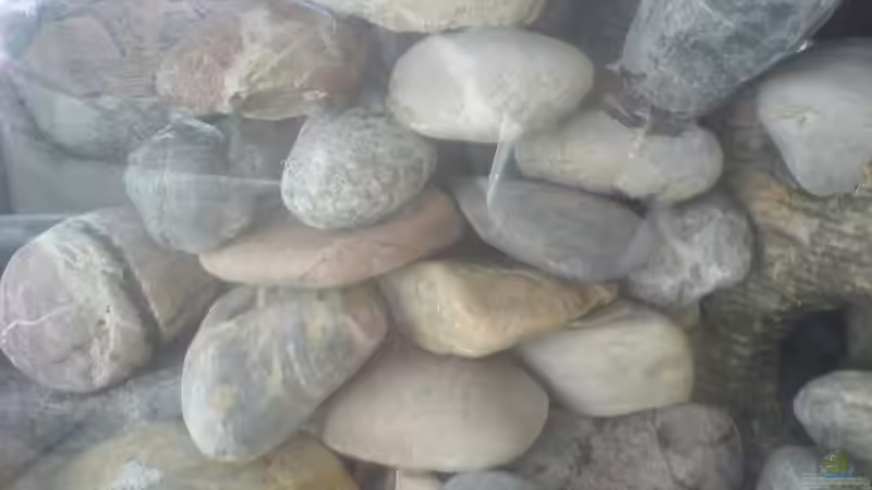 Dekoration im Aquarium Becken 11519 von Ahmet Degerli (7)