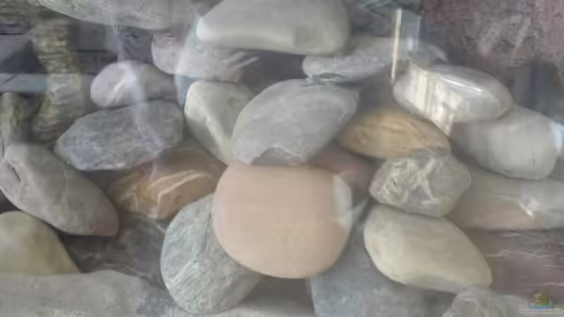 Dekoration im Aquarium Becken 11519 von Ahmet Degerli (9)