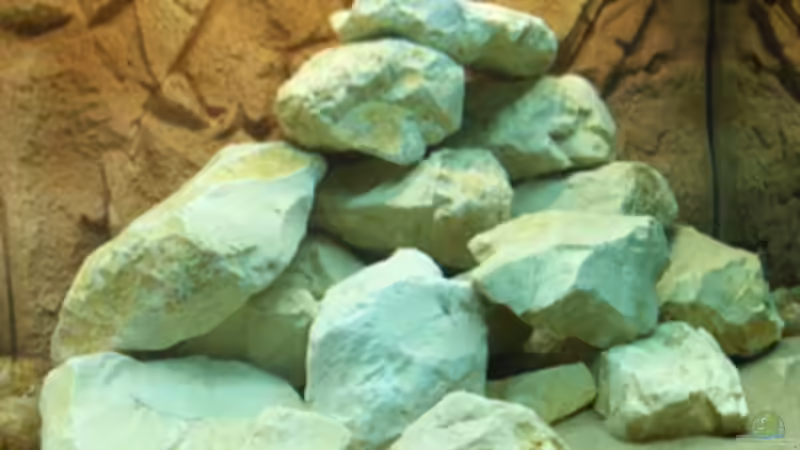 Dekoration im Aquarium Becken 11895 von rhinshev (5)