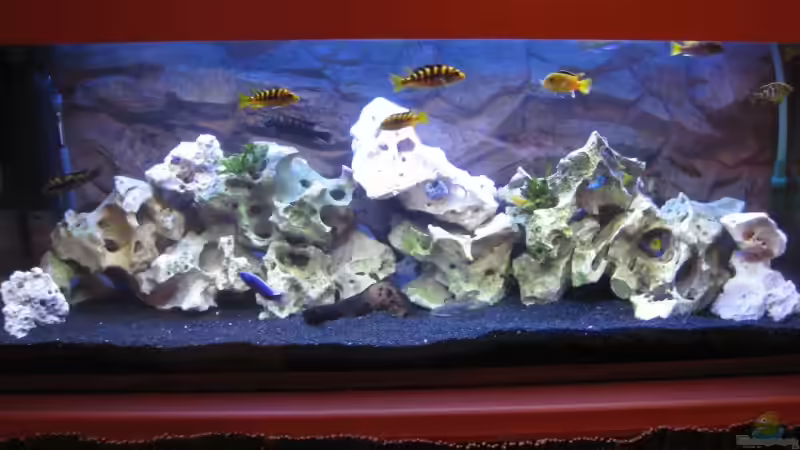 Dekoration im Aquarium Becken 12071 von matze32 (9)