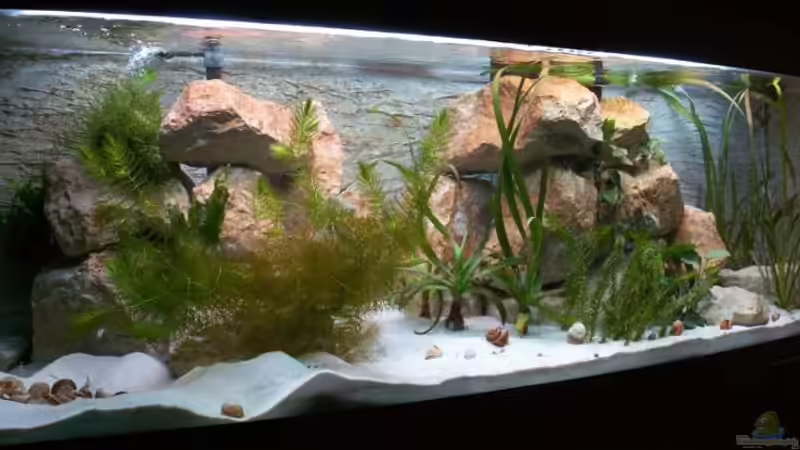 Dekoration im Aquarium Becken 1219 von Joker (4)