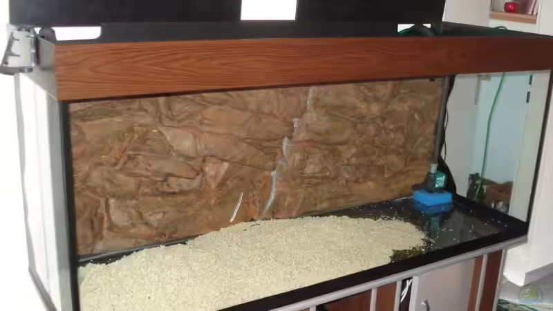 Dekoration im Aquarium Becken 12231 von LuckyHimself (8)