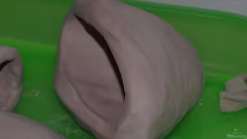 Dekoration im Aquarium Becken 12695 von Meike_R (24)