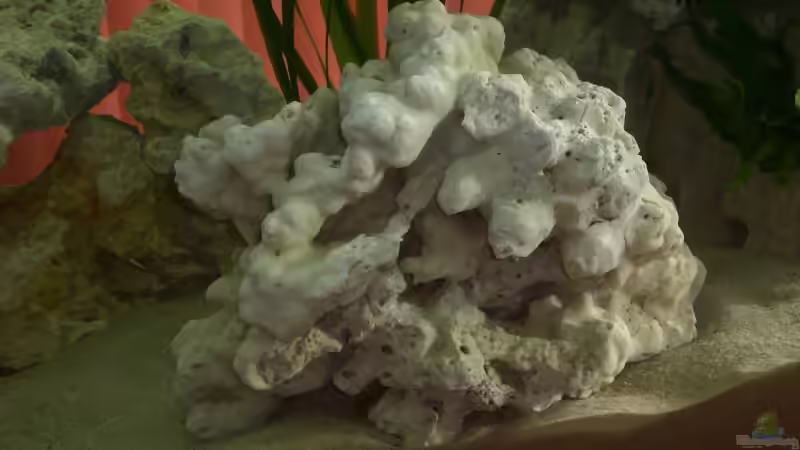 Dekoration im Aquarium Becken 13057 von KingJosch (10)