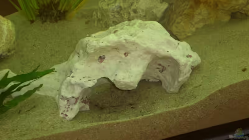 Dekoration im Aquarium Becken 13057 von KingJosch (6)