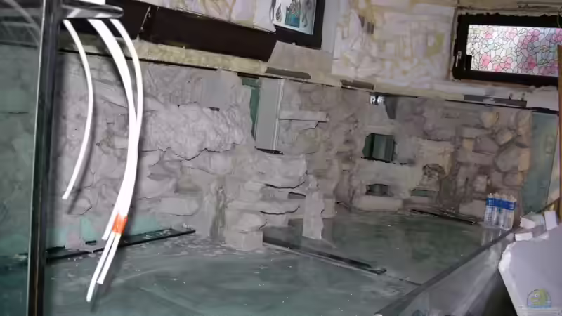 Dekoration im Aquarium Becken 13562 von dornwels (29)