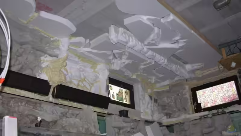 Dekoration im Aquarium Becken 13562 von dornwels (31)