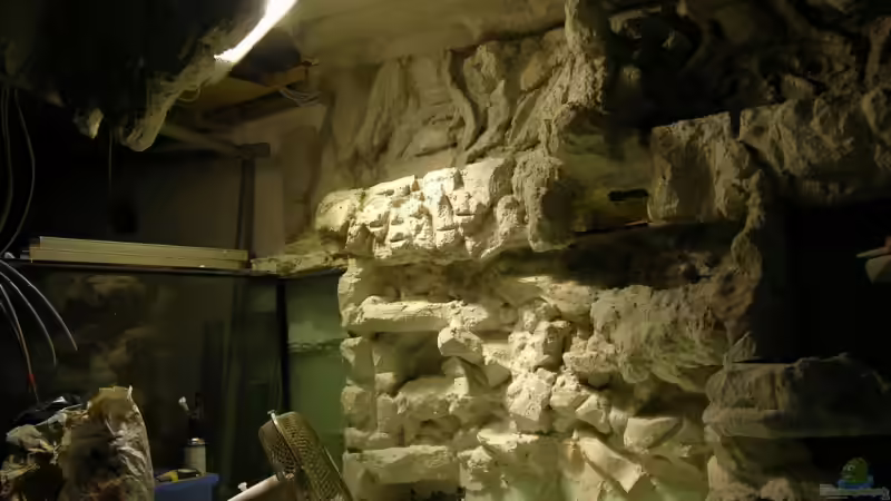 Dekoration im Aquarium Becken 13562 von dornwels (33)