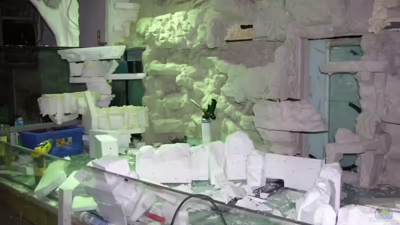 Dekoration im Aquarium Becken 13562 von dornwels (34)