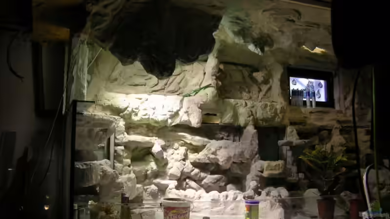 Dekoration im Aquarium Becken 13562 von dornwels (35)