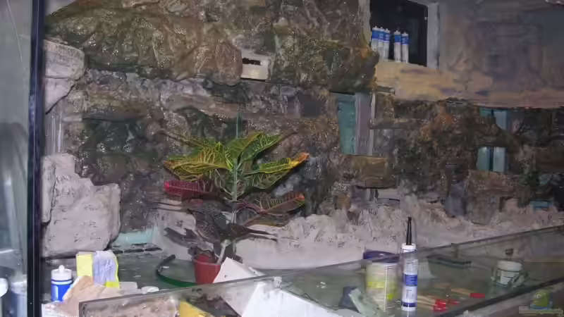 Dekoration im Aquarium Becken 13562 von dornwels (36)