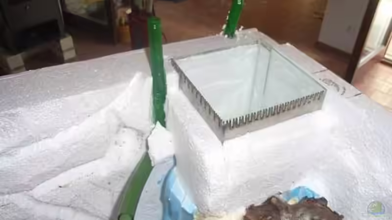 Dekoration im Aquarium Becken 13702 von Markus Huber (13)