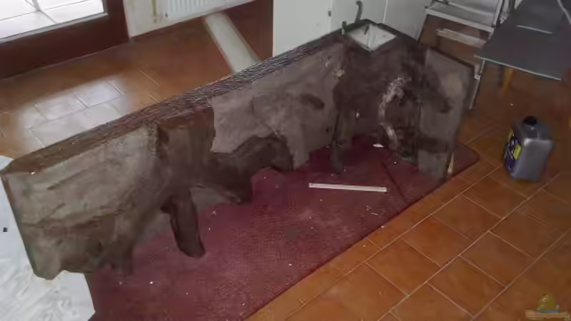 Dekoration im Aquarium Becken 13702 von Markus Huber (22)