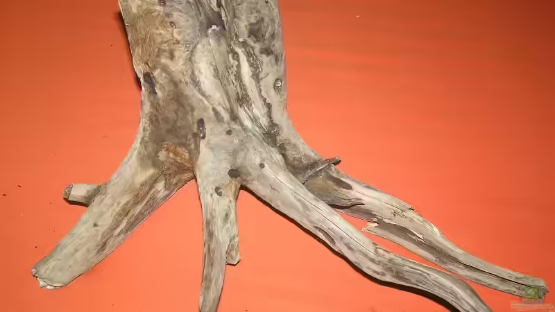 Dekoration im Aquarium Becken 14194 von niva (19)