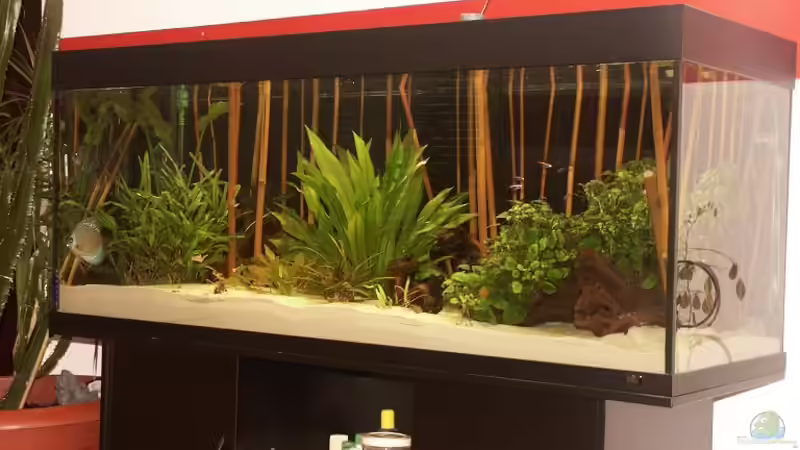 Dekoration im Aquarium Becken 1485 von Vanessa Kopf und Sebastian Krauß (4)