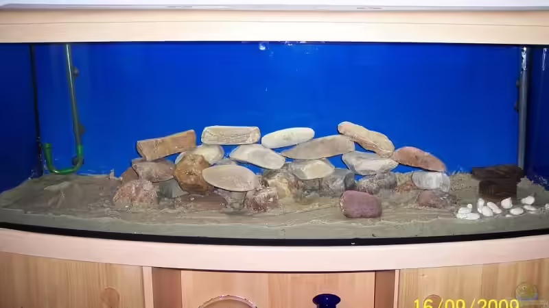 Dekoration im Aquarium Becken 14859 von jens70 (3)