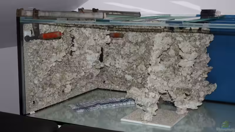 Dekoration im Aquarium Becken 14885 von Stephan Ascher (36)