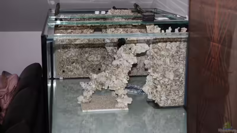 Dekoration im Aquarium Becken 14885 von Stephan Ascher (37)