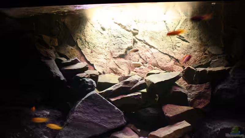 Dekoration im Aquarium Becken 16059 von MuBu (13)