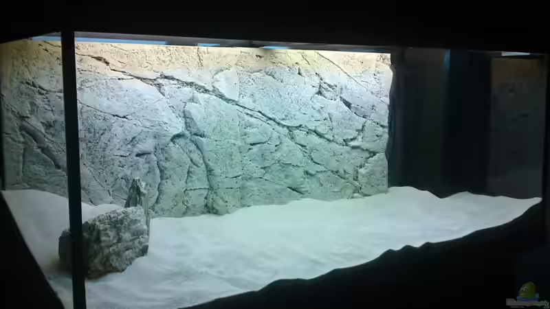 Dekoration im Aquarium Becken 16462 von Zeljko Jovanovic (11)