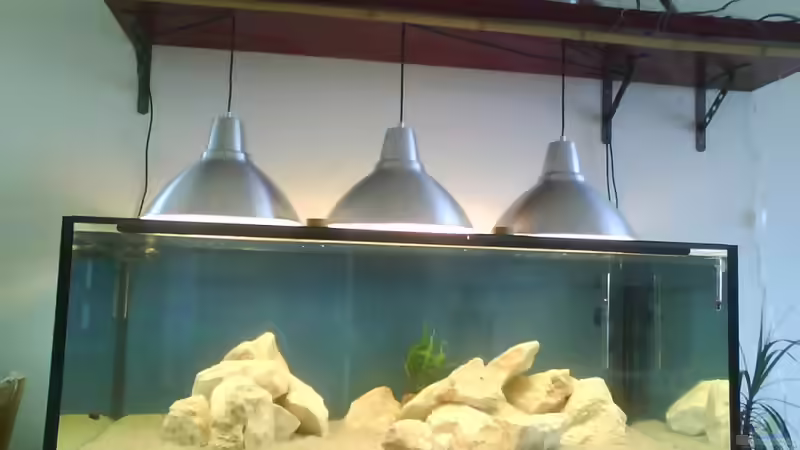 Dekoration im Aquarium Becken 16669 von Blubb Blubb (5)