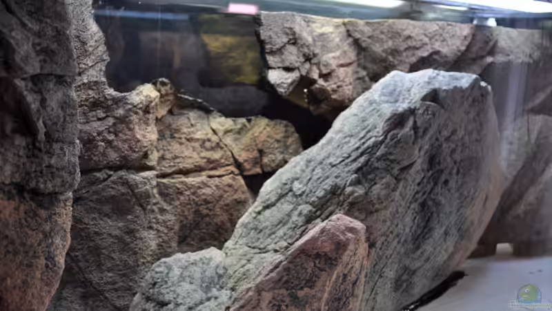 Dekoration im Aquarium Becken 16908 von Vladi (26)