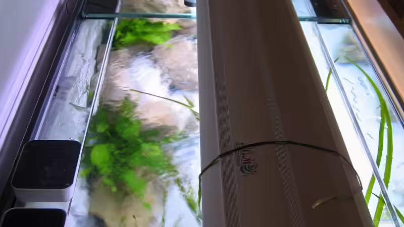 Dekoration im Aquarium Becken 16980 von Thomas Herbst (8)