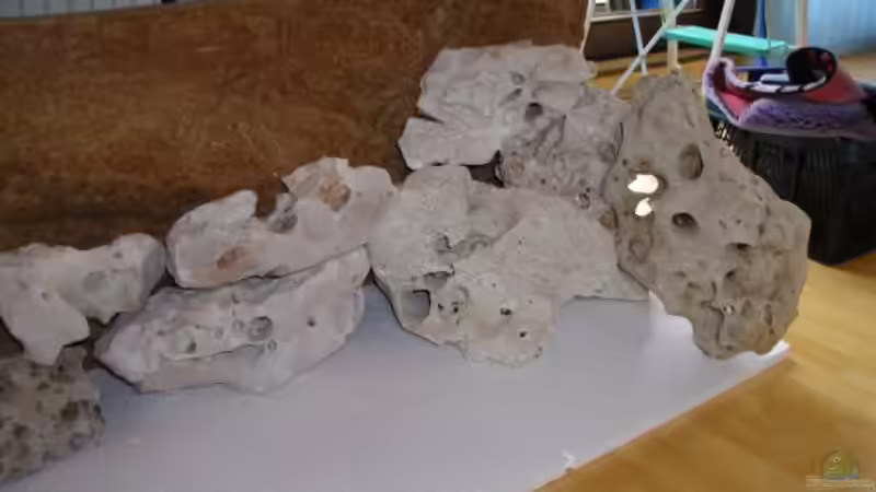 Dekoration im Aquarium Becken 180 von Stefan Henrich (4)