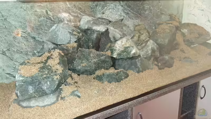 Dekoration im Aquarium Becken 18425 von Crenii (20)