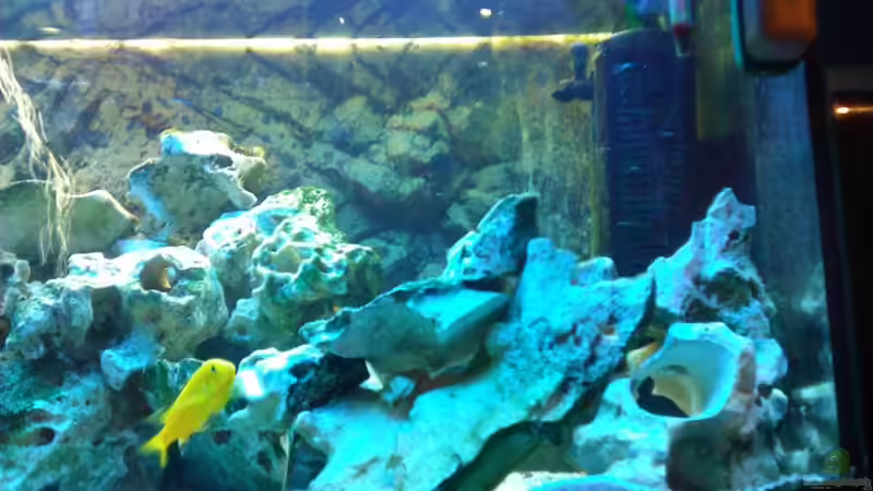 Dekoration im Aquarium Becken 18467 von Deathy (3)