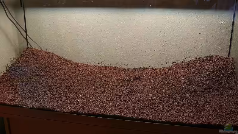 Dekoration im Aquarium Becken 19330 von Torsten Thiel (16)