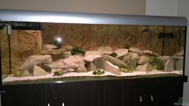 Dekoration im Aquarium Becken 19756 von coupe320i (6)