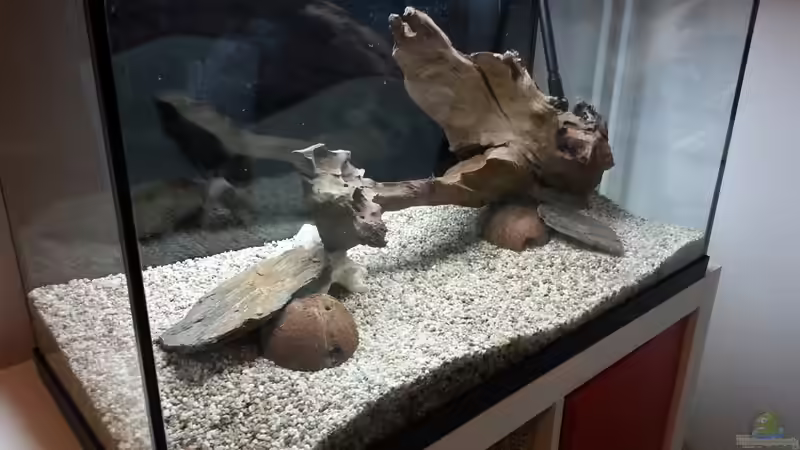 Dekoration im Aquarium Becken 2.0 von David Böhme (6)