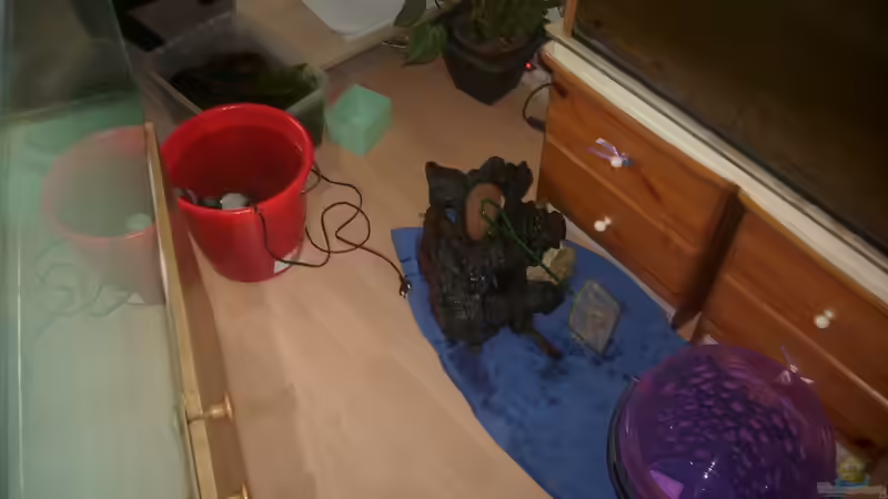 Dekoration im Aquarium Becken 23166 von Dal3838 (5)